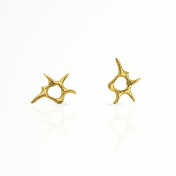 Abstract Starfish Mini Stud Earrings 